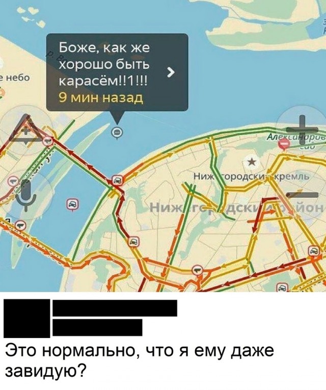 Так себе картинки 10.07.22