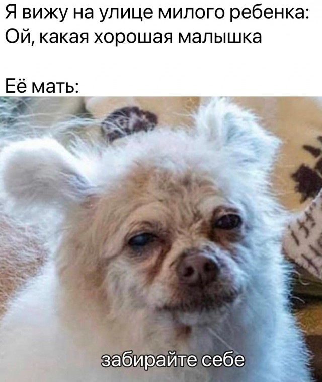 Немного картинок для настроения - 114
