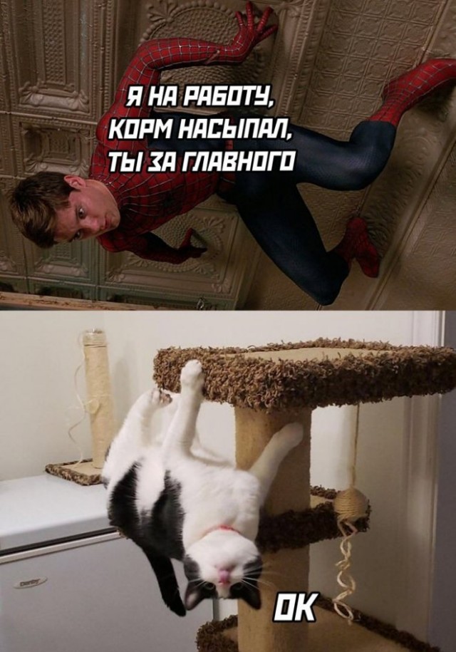 Немного мемчиков. Для взрослых. Часть 20