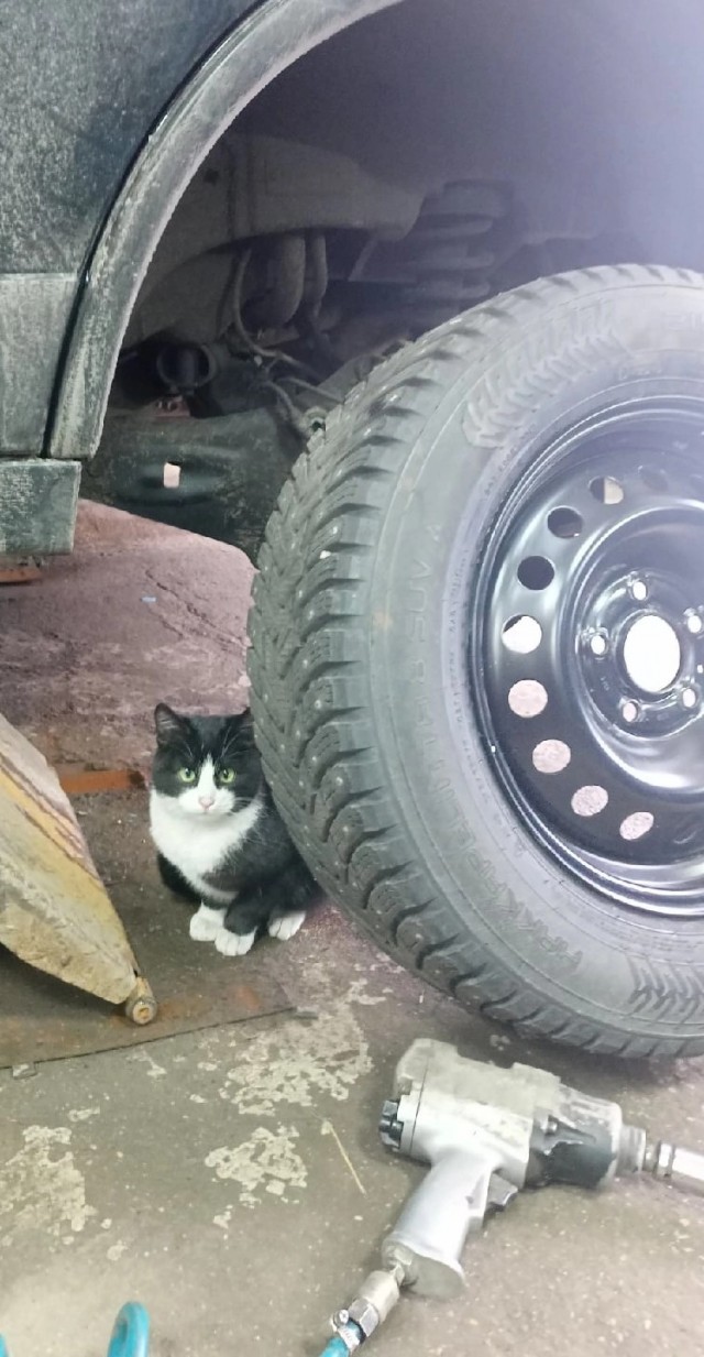 Придется Милаху как работника оформлять!