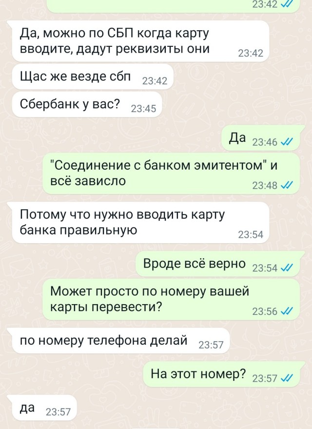 Попытка развода на Авито онлайн