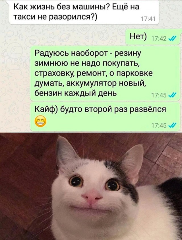 Так себе картинки 03.04.23