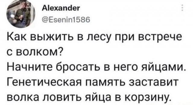 Картинок пост