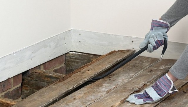 Председатель Госдумы Вячеслав Володин заявил, что решение о введении запрета на смену пола будет принято в июле