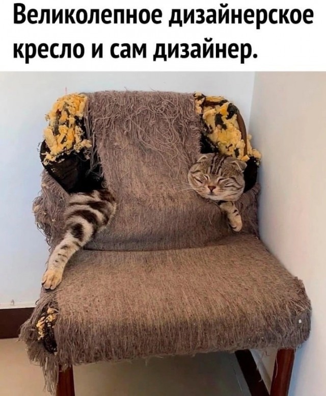 Так себе картинки 21.07.23