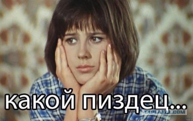 Ахмат, Эли и Адам Кадыровы награждены орденом «Даймехкан Сий»