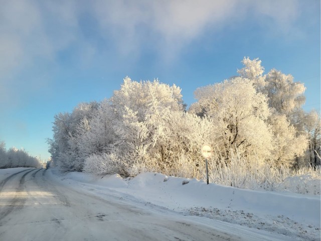 Мороз - лучший художник