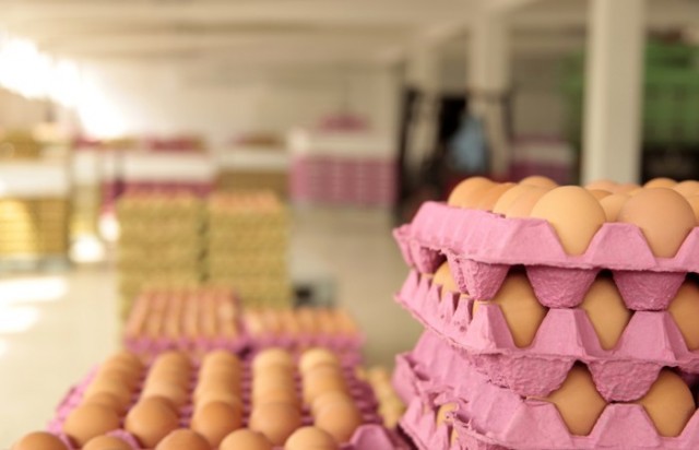 В Россию прибыла первая партия яиц из Турции