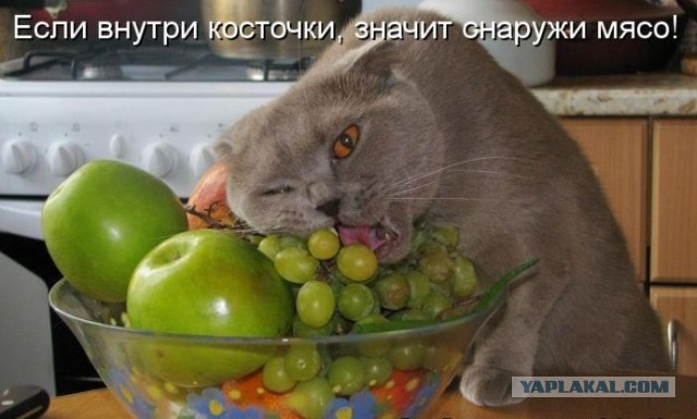 Полуночный ужас :)