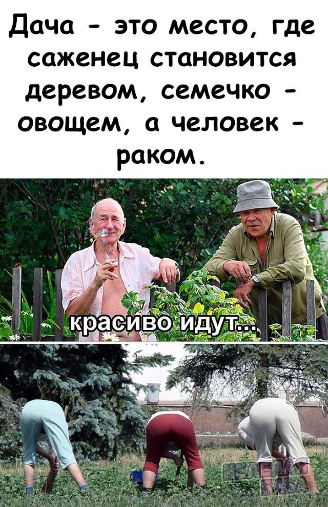 Развлечения взрослых 18+