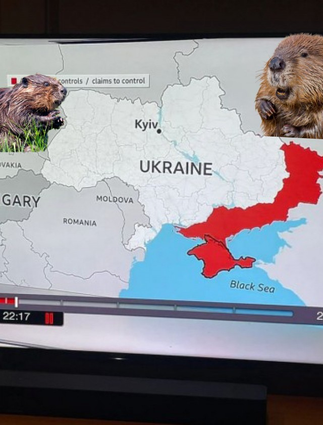 Где-то на польском ТВ