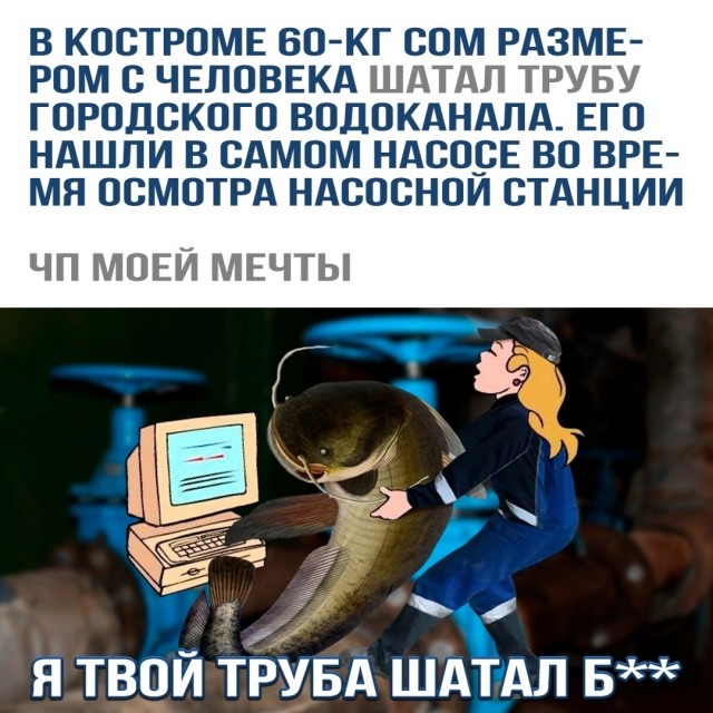 Так себе картинки 28.07.24
