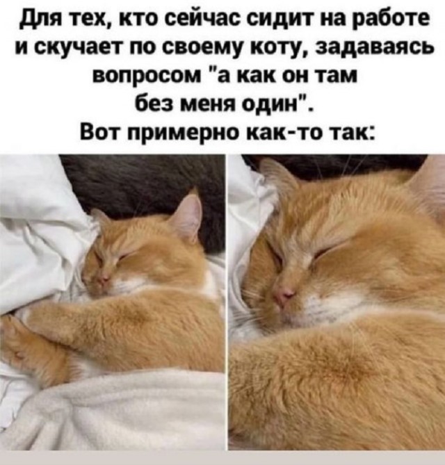 Картинки разные с надписями и без