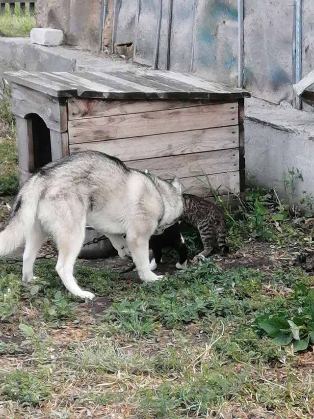 Якутянка увидела другой климат и лучшую жизнь