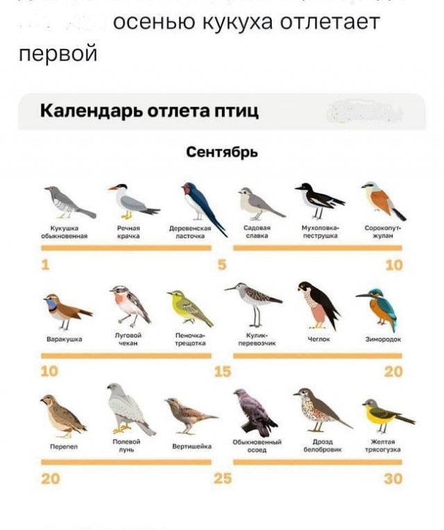 Я тебе еще пригожусь!