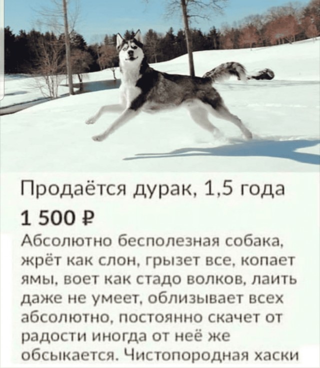 От тюрьмы и от сумы-2(новый дом)