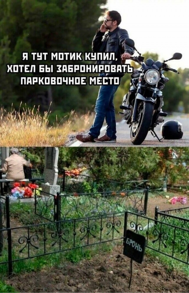 Немного забавных картинок от 13.10.2024