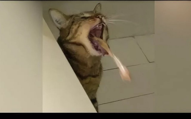 Добрый вечер всем!