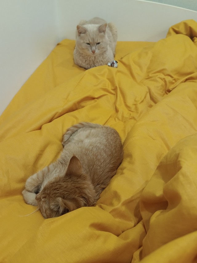 Блин. На меня пацан обиделся!