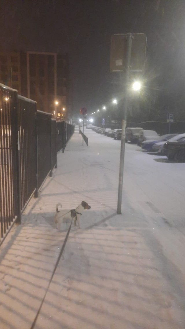 Ура, зима в Красногорске!