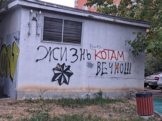 Всего понемногу. От 27.02.2025
