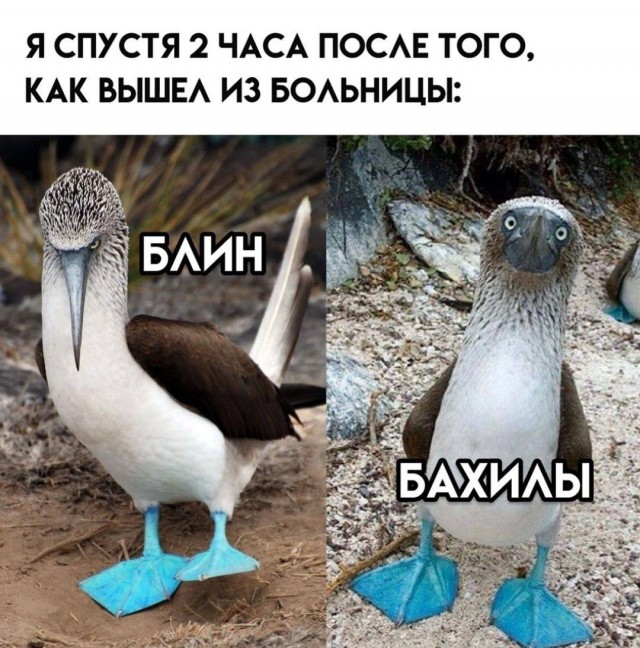 Завалялось тут случайно немного забавных картинок