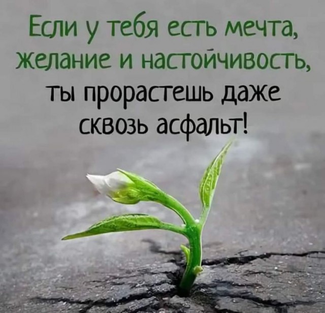 Прикольные и просто красивые картинки 21.03.2025