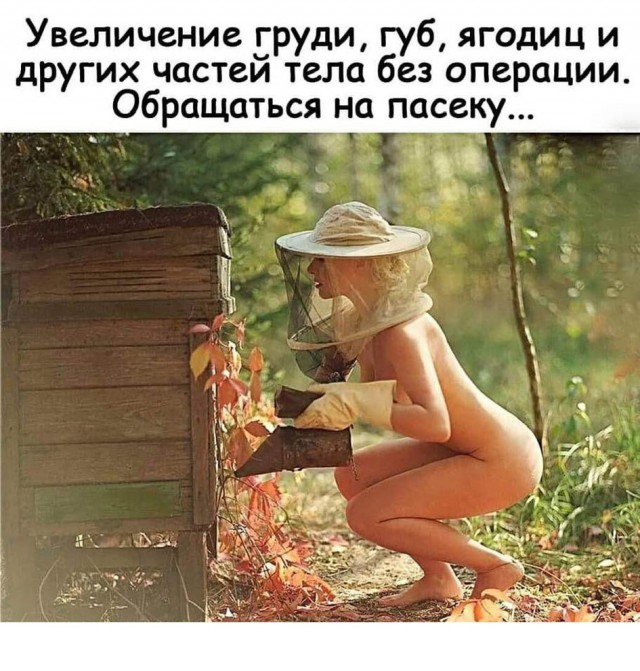 Так себе картинки 29.06.25
