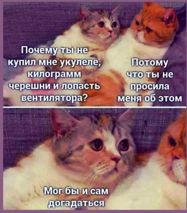Так себе картинки 04.07.25
