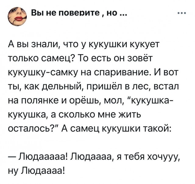 Так себе картинки 25.07.25