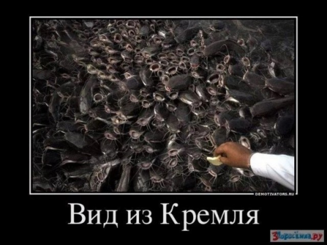Сундук деграданта! Выпуск номер 3!