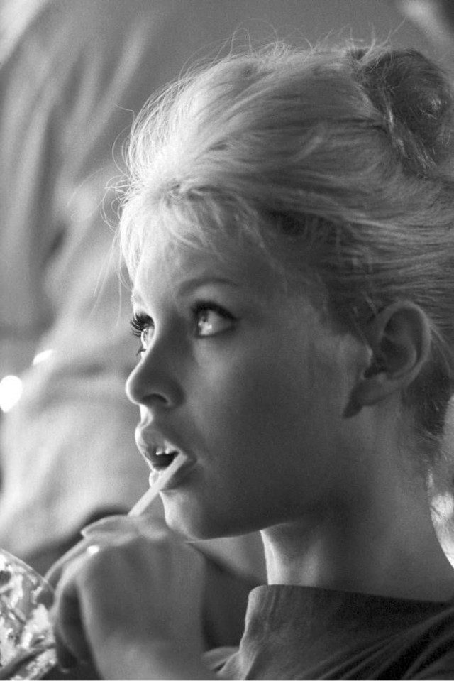 День рождения Брижит Бардо