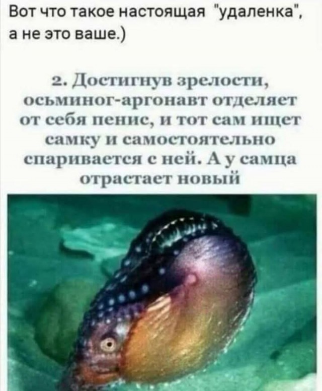 Маленькая пятница 22.10