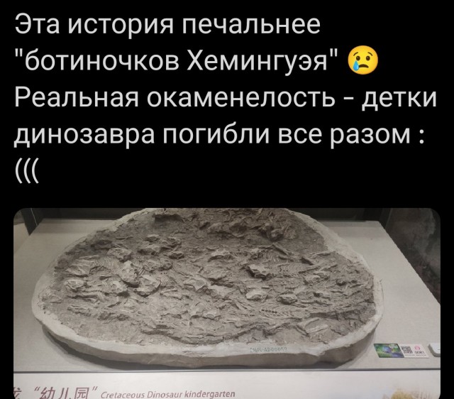 Маленькая пятница 22.10