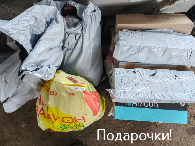 Жизнь домашнего приюта "Котоленд" 519