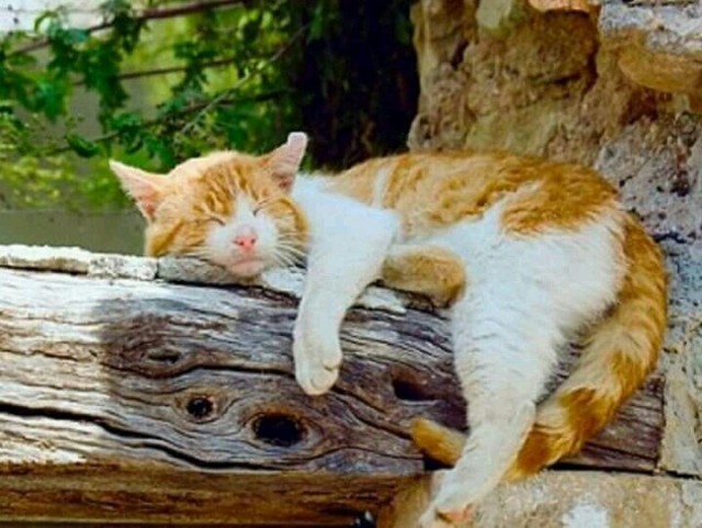 Прикольные и просто красивые картинки 18.11.2025