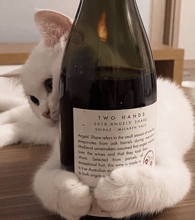 Субботние картинки