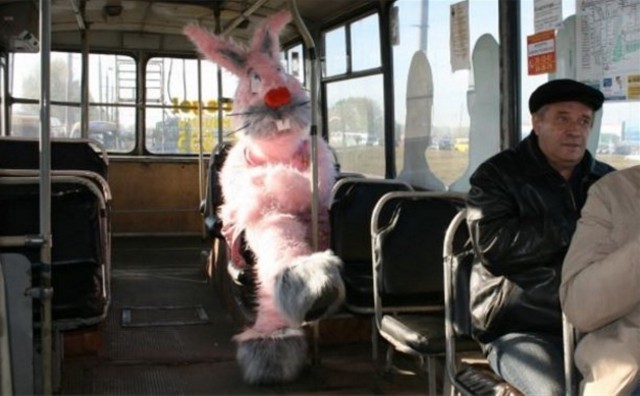 В Москве хотят повысить штраф за безбилетный проезд в наземном транспорте до 5 тыс. руб.