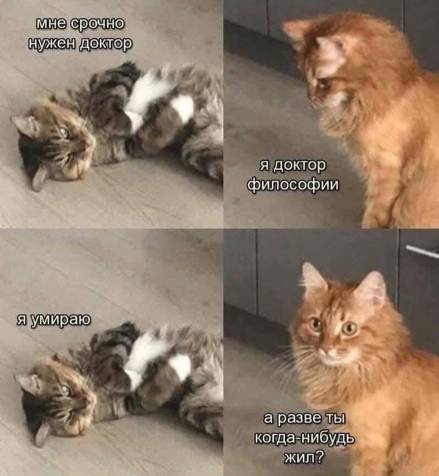 Картиночки, баянчики 27 декабря