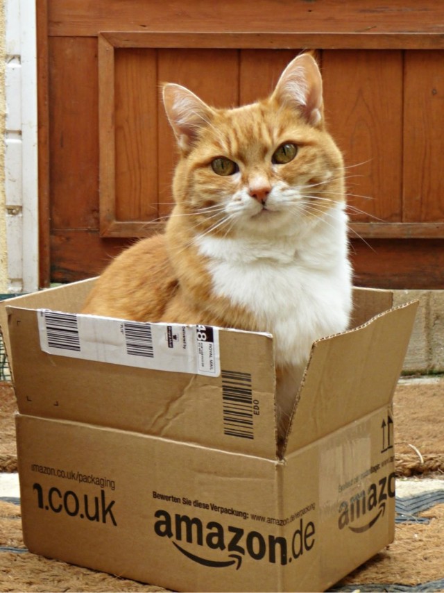 Котокоробковое