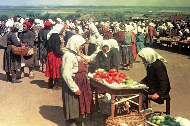 Советские женщины 1950-х годов