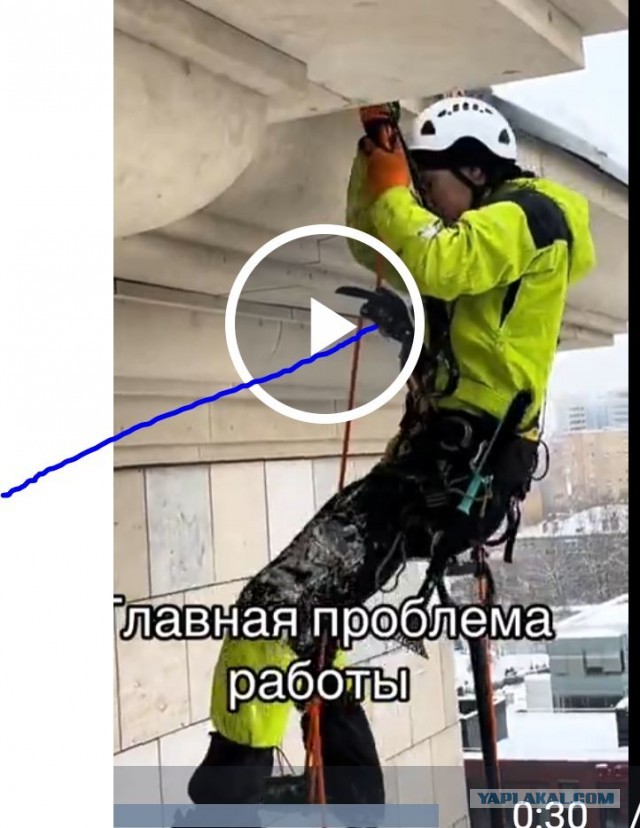 Паничка на работе
