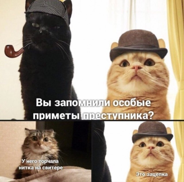 Так себе картинки 26.03.26