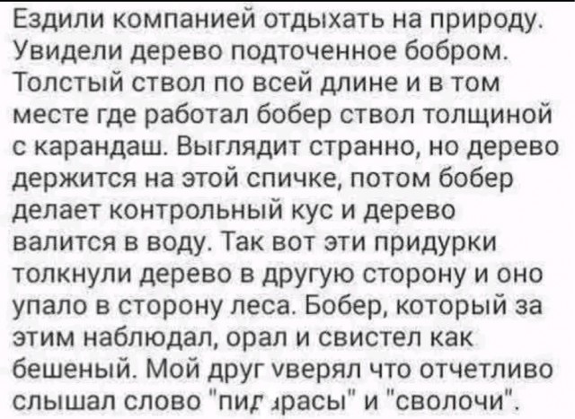 Субботние картинки