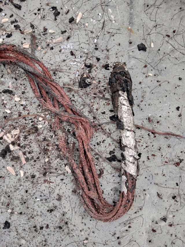 Нужны химики, физики и 2 астролога