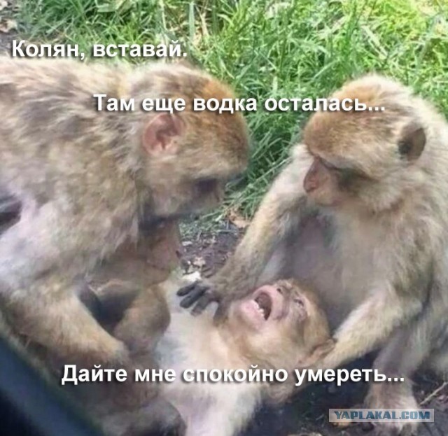 Добро пожаловать из праздников