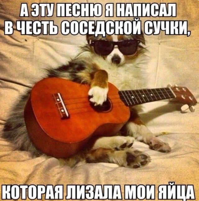 Картиночки, баянчики 01 июля