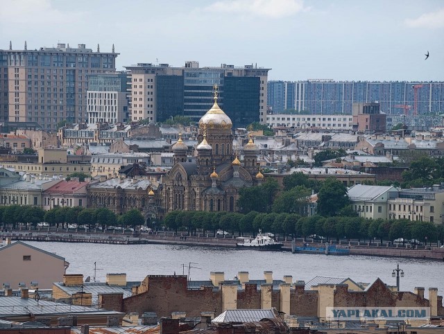 Как я ездил бегать и гулять в Питере⁠⁠