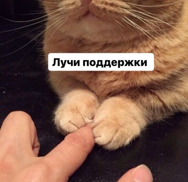 В России планируют создать общефедеральный фонд поддержки транспорта