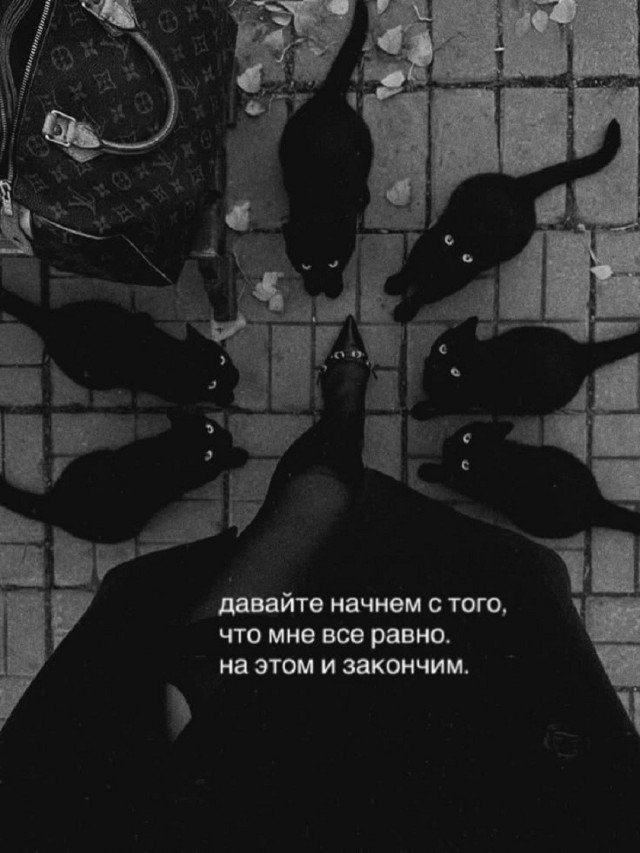 Так себе картинки 28.08.26